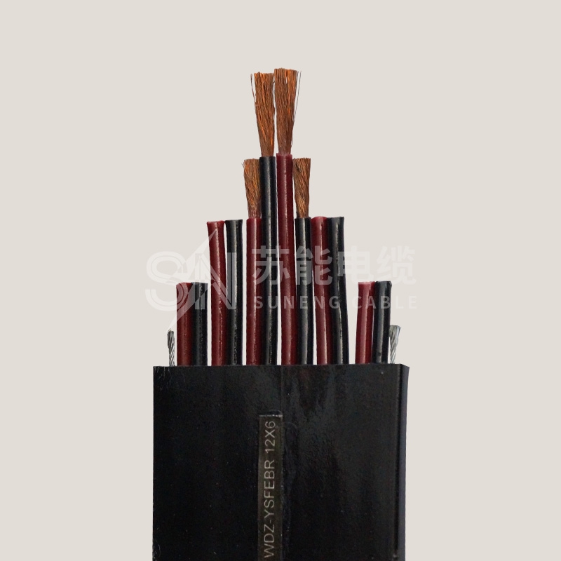 ���ֵ��� WDZ-YSFEBR